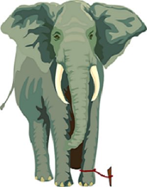 قصة حبل الفيل